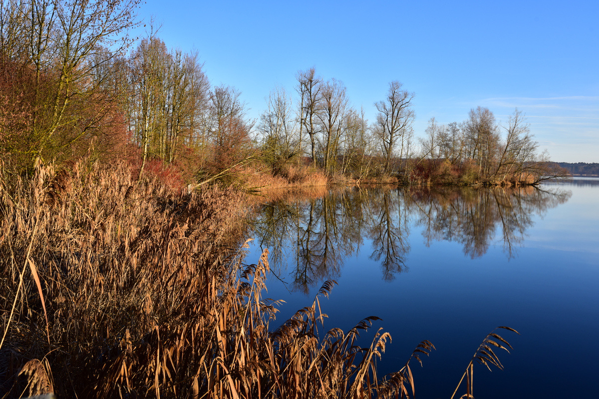 D81_2808.JPG
