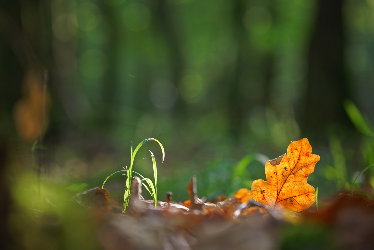 WEBU0264_3.5_1.jpg