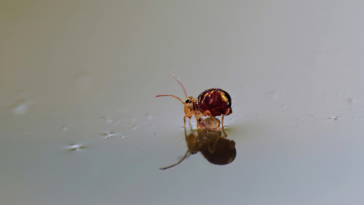 PB010098NP1.jpg
