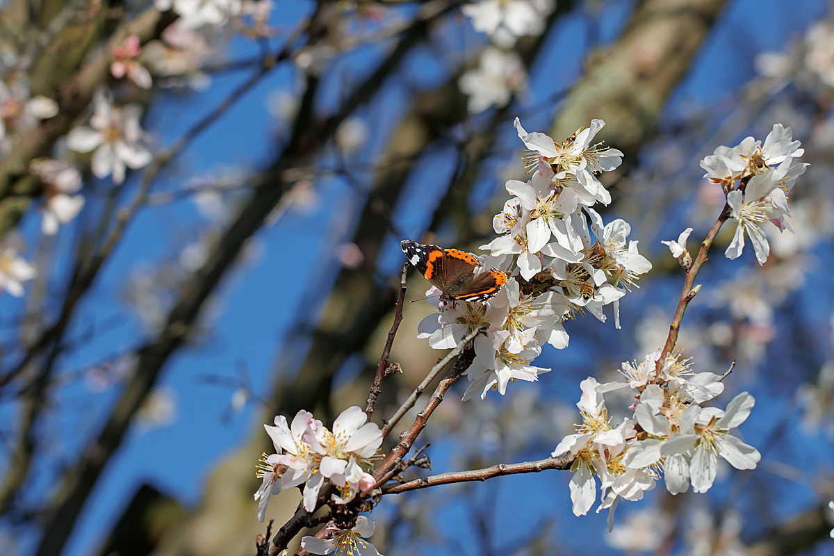 IMG_9004_SHARPEN projectsDENOISE projects.jpg