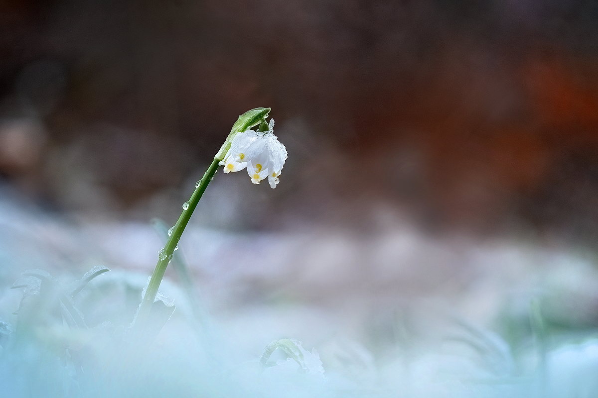 P3427818_1200px.jpg