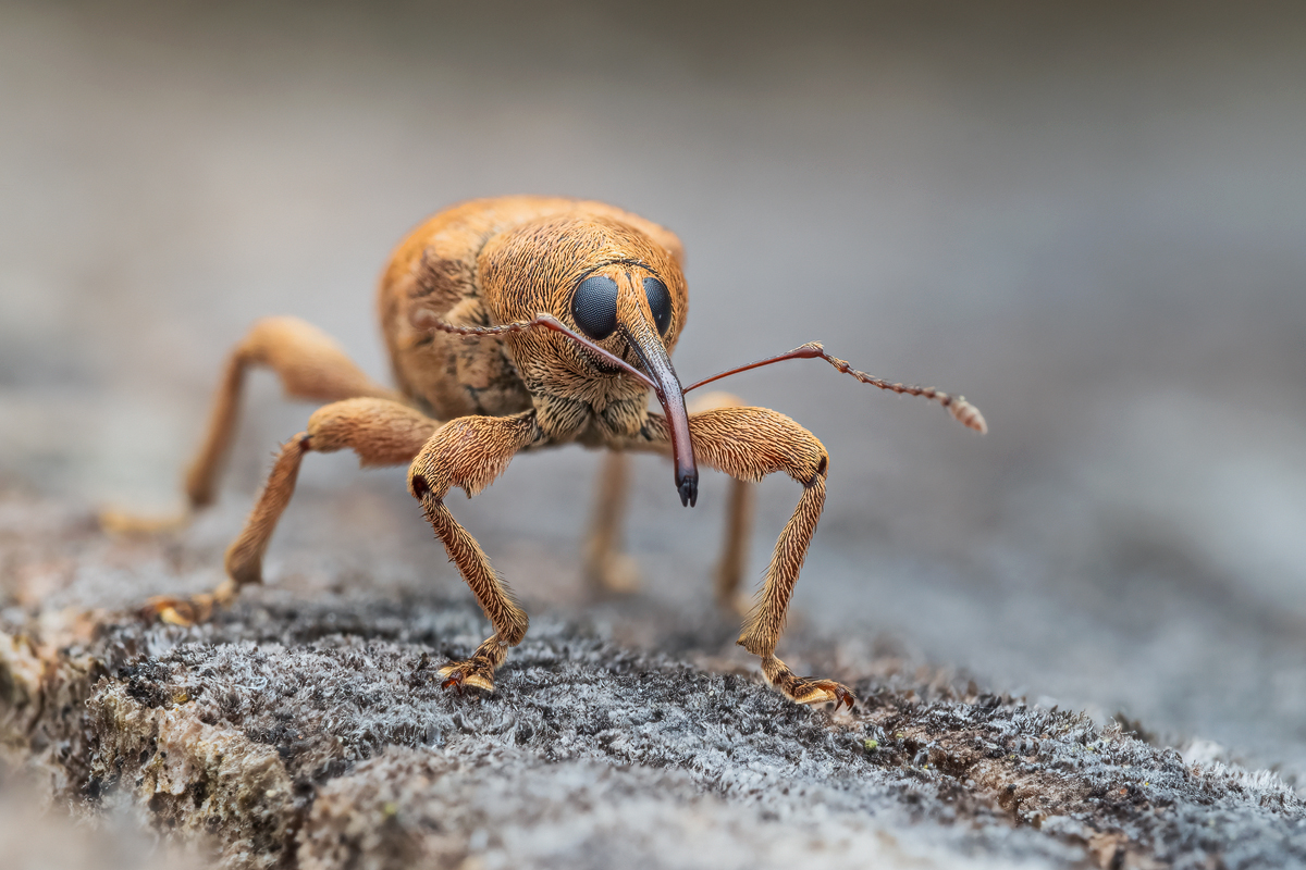 MIR-20230430-4301308-313-ZS-PMax-retouched-Bearbeitet-Kopie.jpg