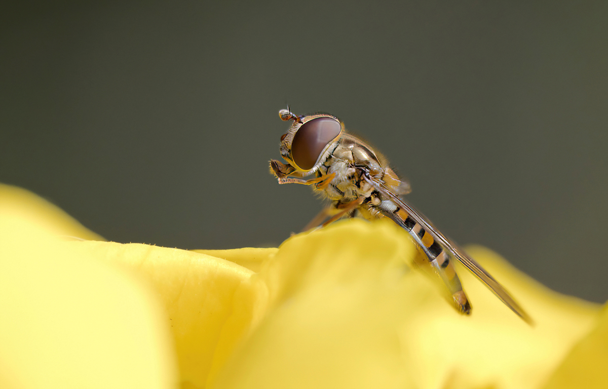P3036331NP.jpg