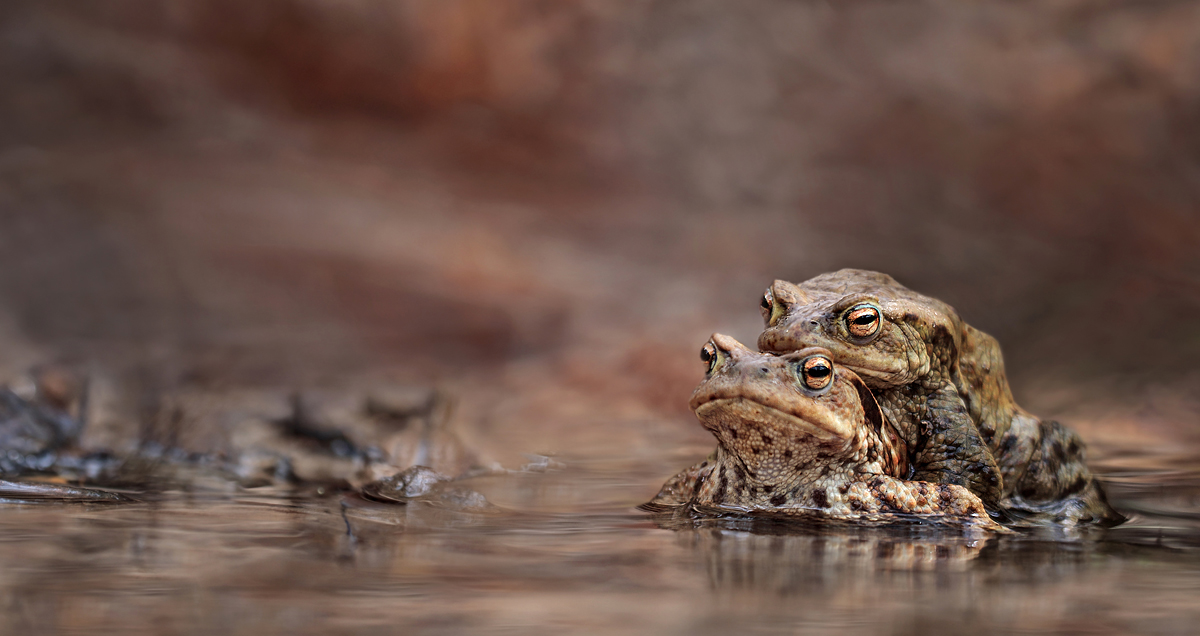 kleine Welt -MF..jpg