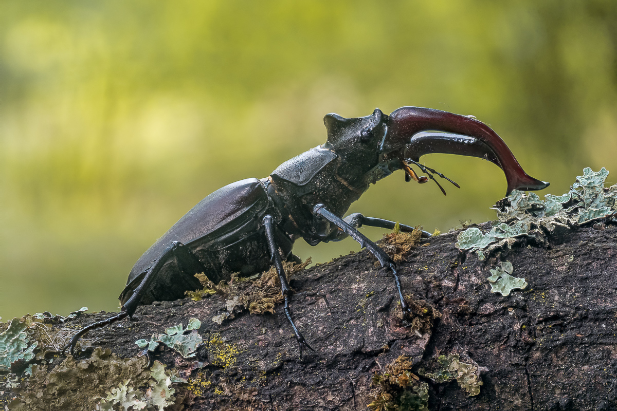 2023-07-01-08.09.02 ZS retouched.jpg