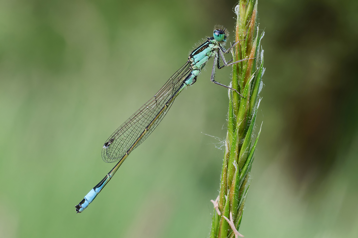8W5A5541_DxO Kopie-klein.jpg