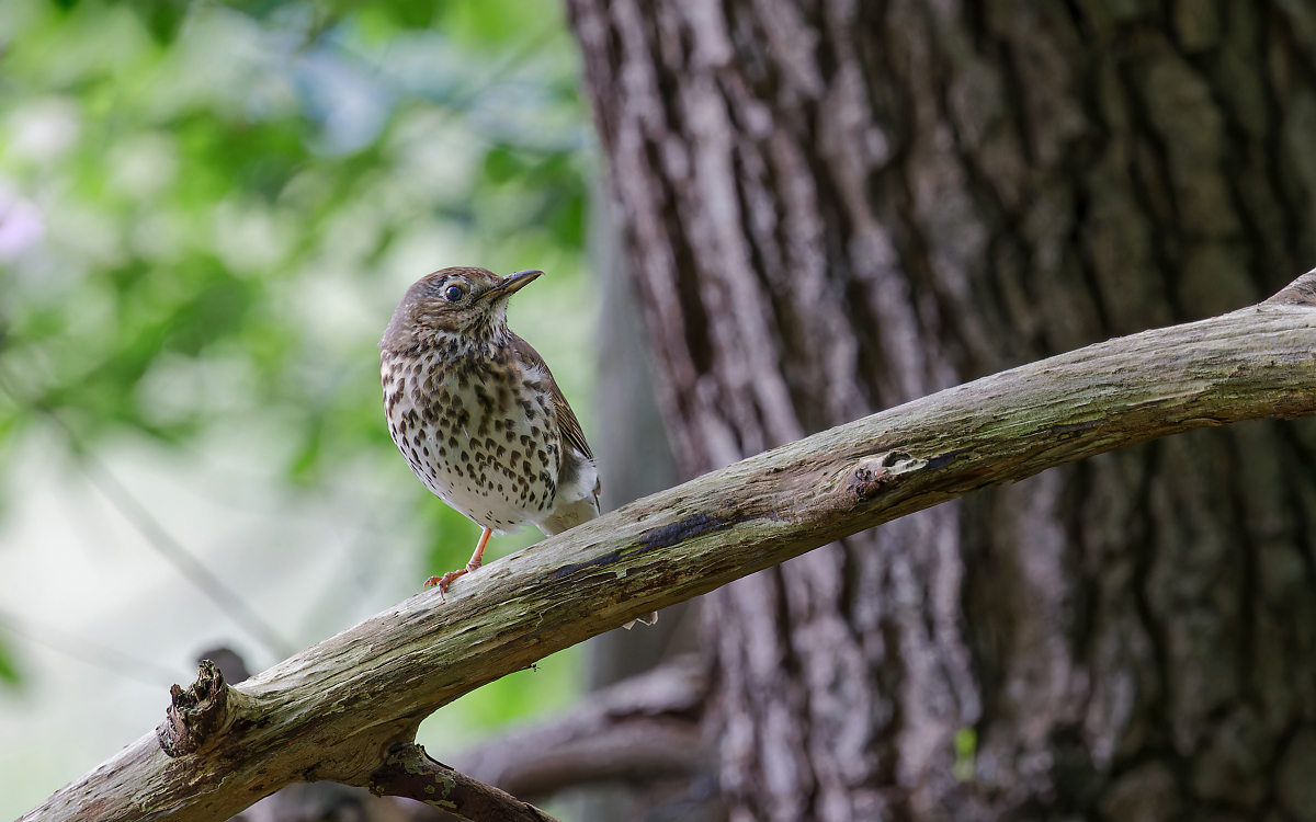 8W5A6592_DxO Kopie-klein.jpg