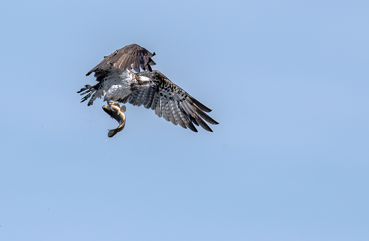 HHK_0522xxx4-2.jpg