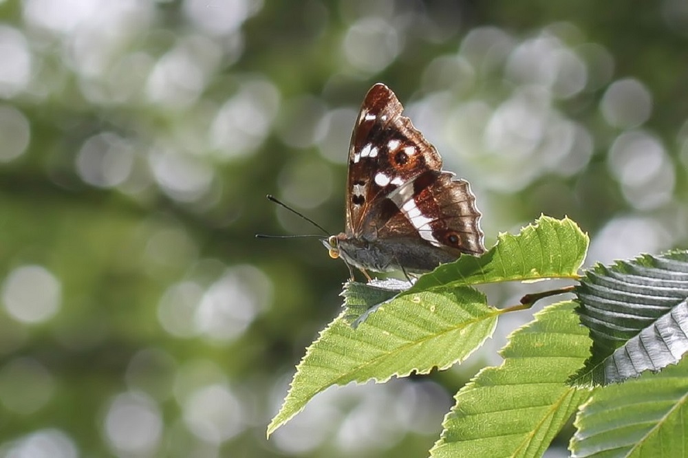 IMG_1788_edited_filtered - Kopie.jpg
