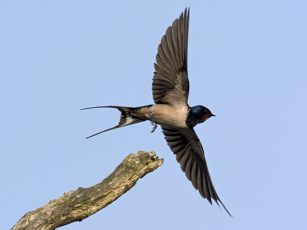 5108946NP.jpg