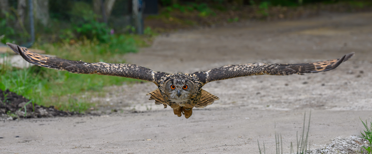 20240717_143527-4-Bearbeitet.jpg