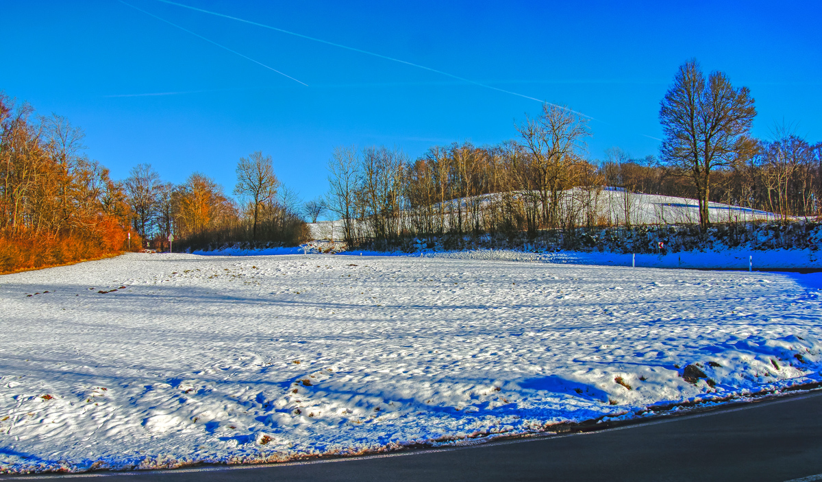 20241229-P1048546-RW2.jpg