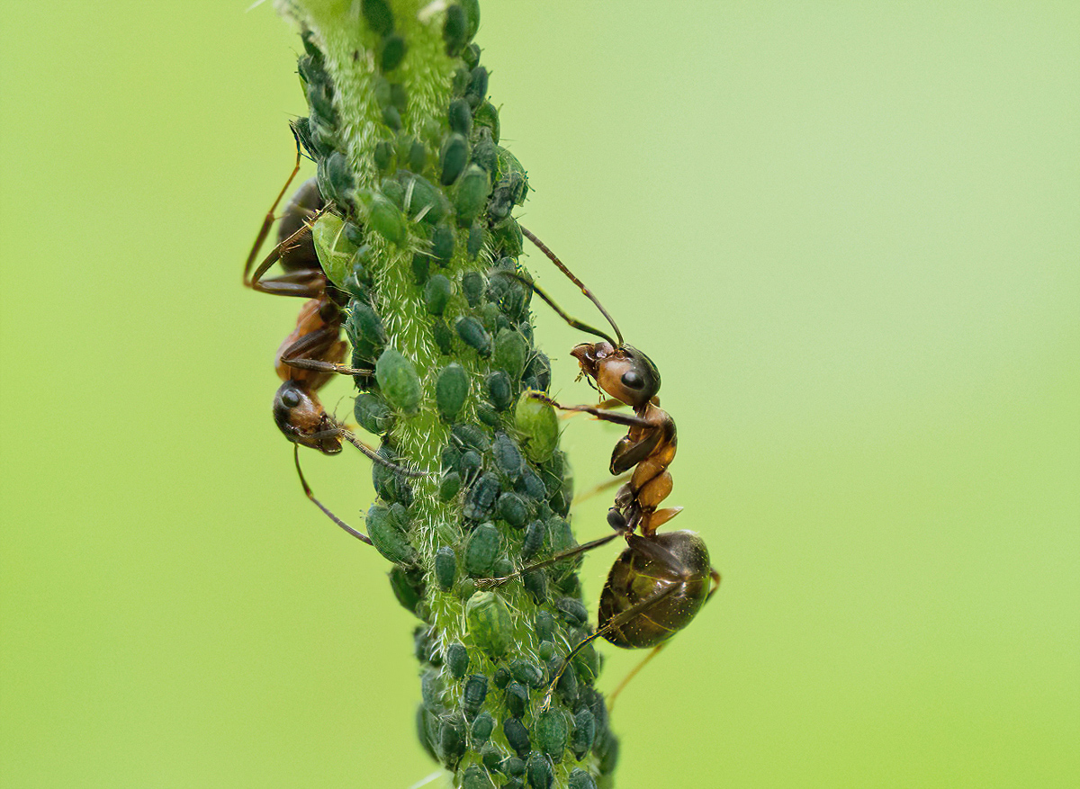 P5264534NP1.jpg