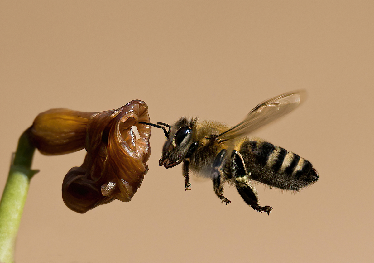 P2119426NP.jpg