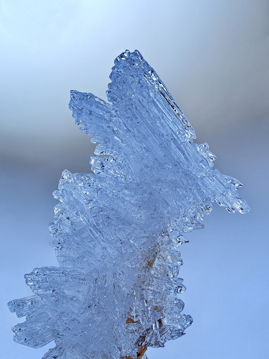 2025_02_17_Eisskulptur.jpg