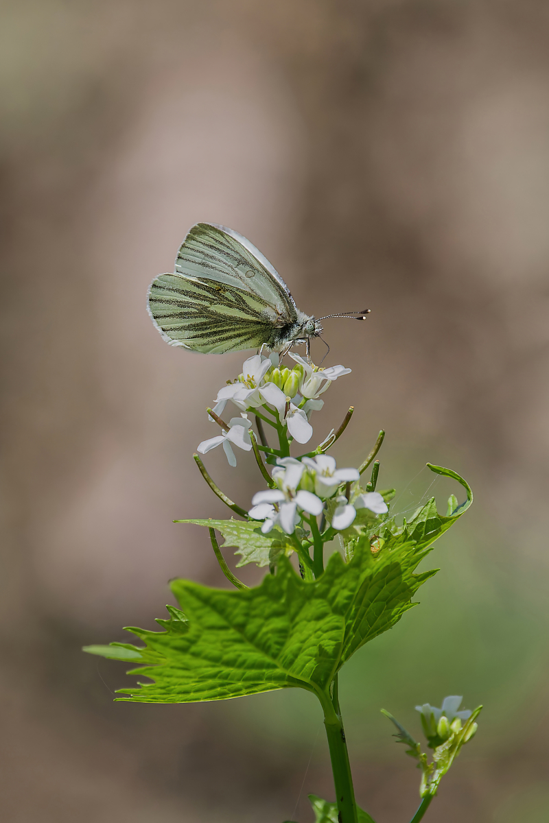 DN4A7908_DxO-neuklein.jpg