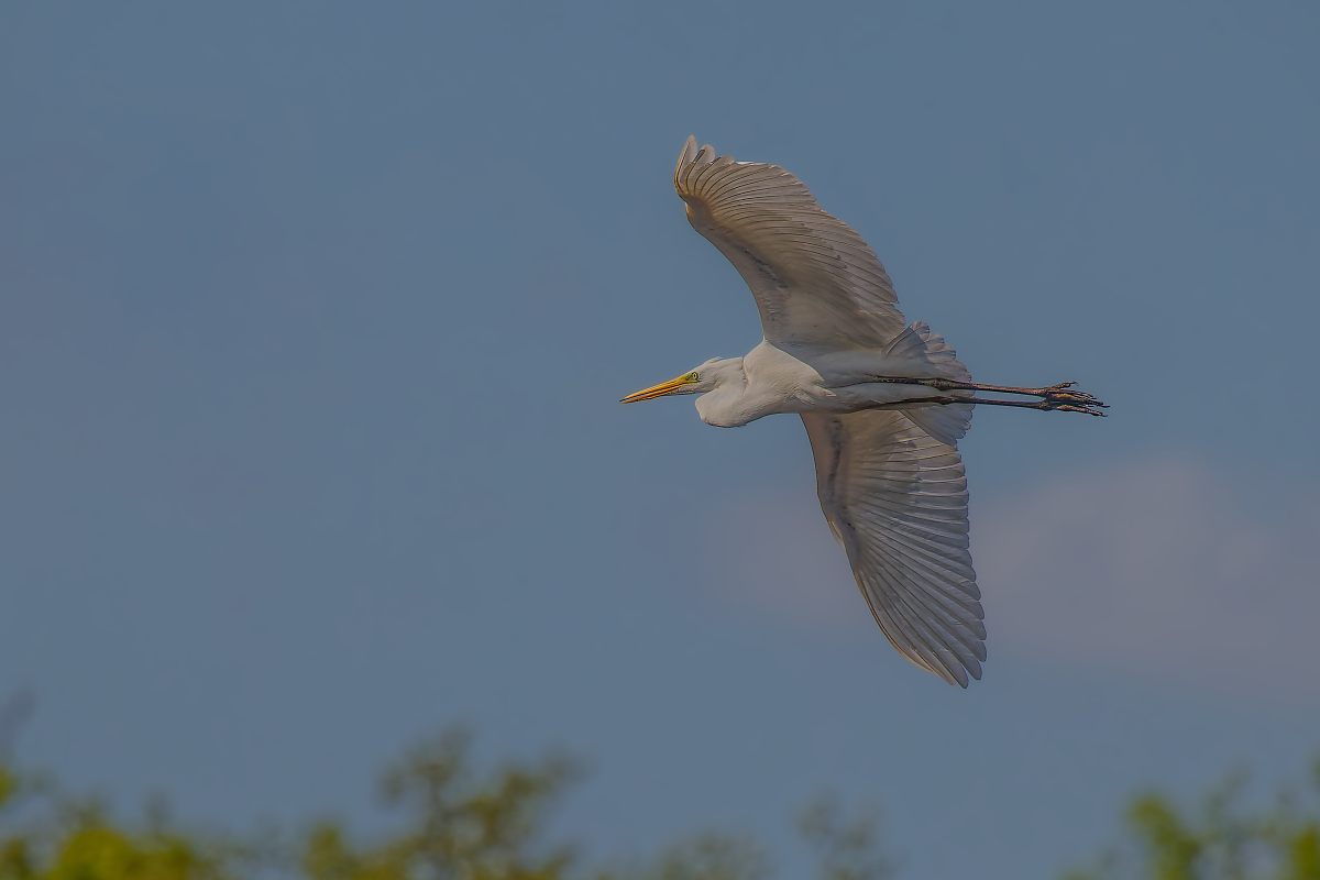 DN4A8379_DxO-klein.jpg