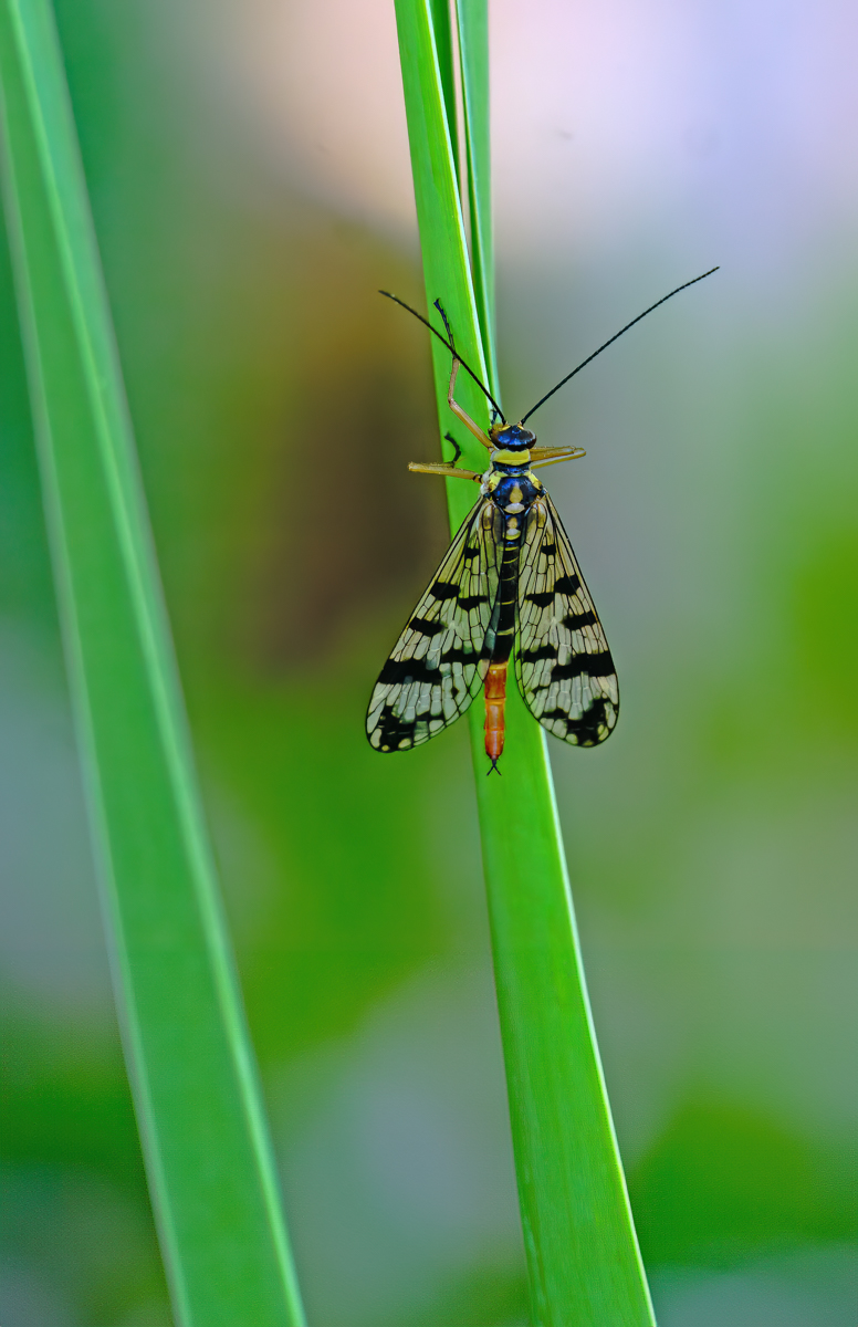 20250428-P1051898-RW2_.jpg