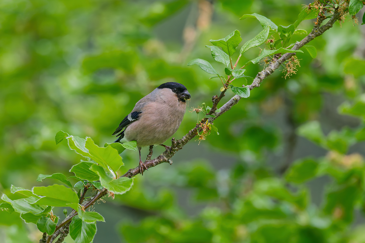 DN4A2538_DxO-1klein.jpg