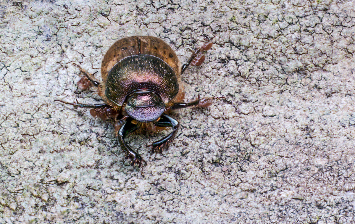 2025-06-06 18-16-50 (B,Radius6,Smoothing4)17-Bearbeitet-2.jpg