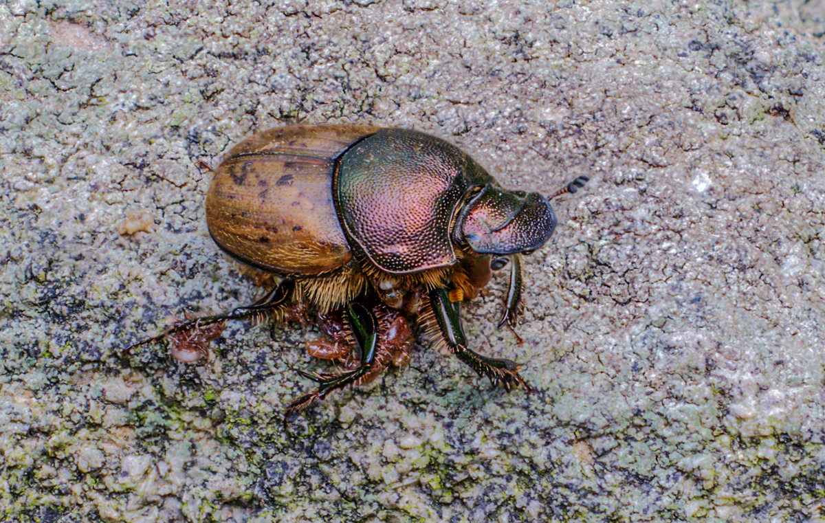 2025-06-06 18-27-30 (B,Radius6,Smoothing4)20-Bearbeitet.jpg