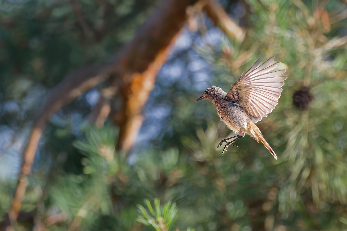 DN4A1147_DxO- Kopieklein.jpg