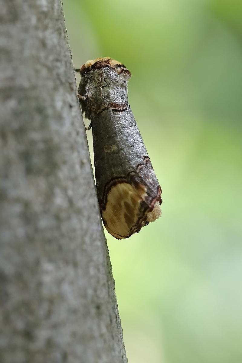 IMG_9669_rs.JPG