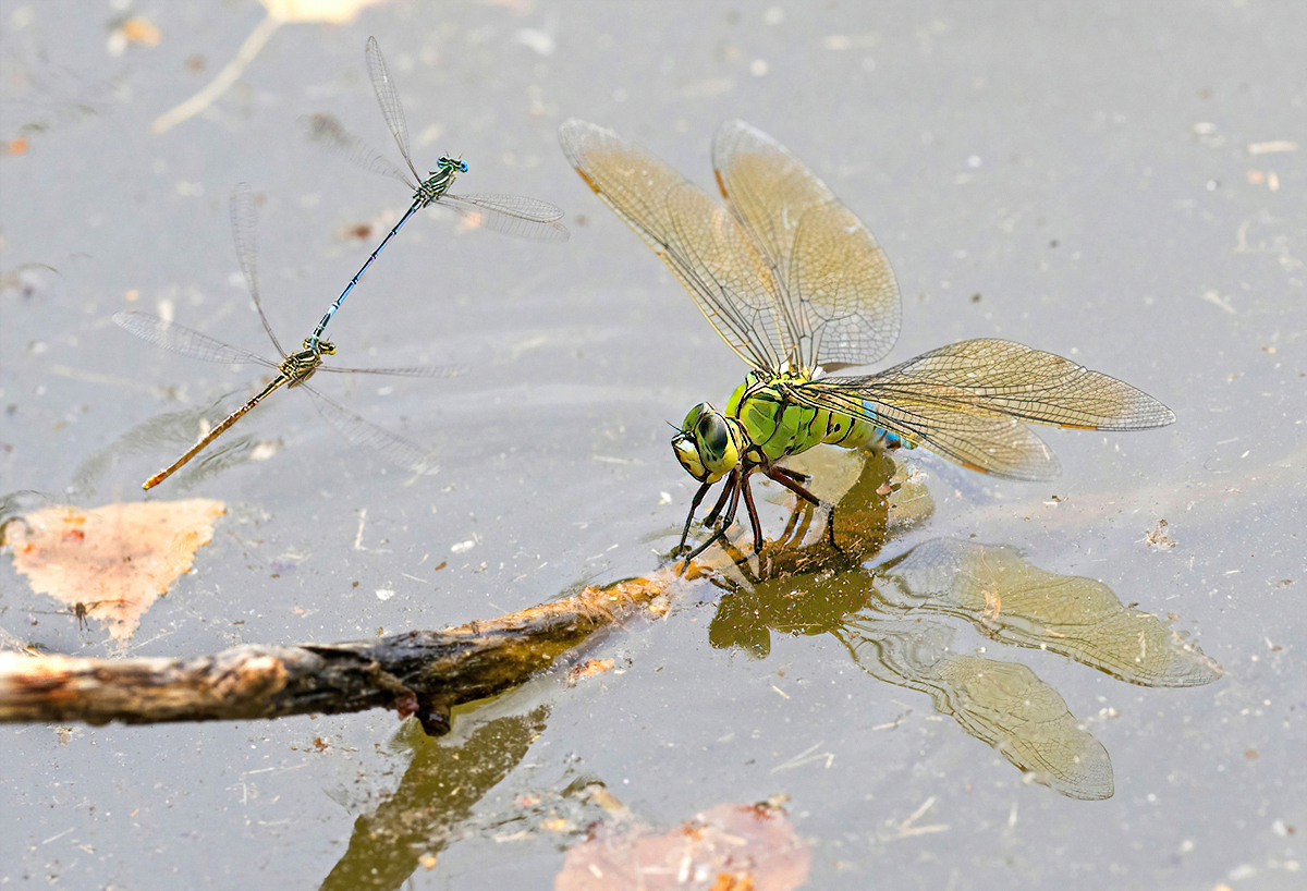 P7202233NP1.jpg