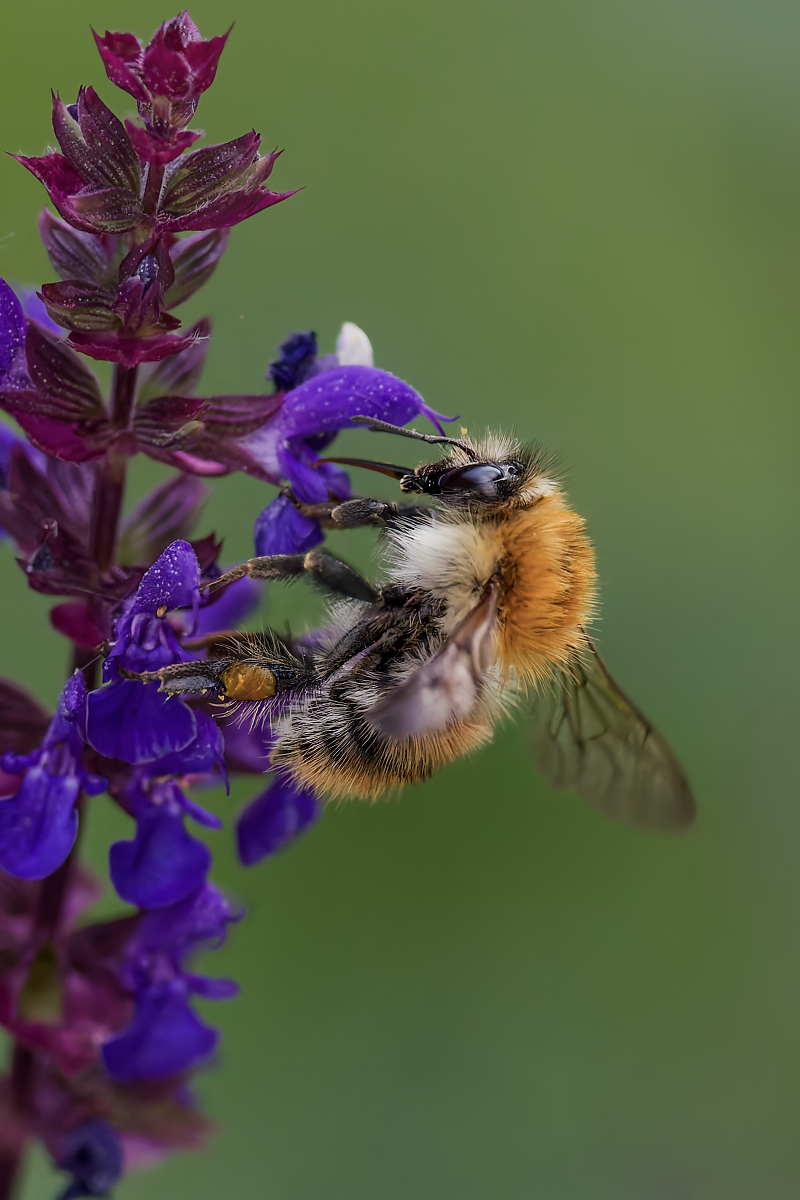 DN4A0058_DxO hfklein.jpg