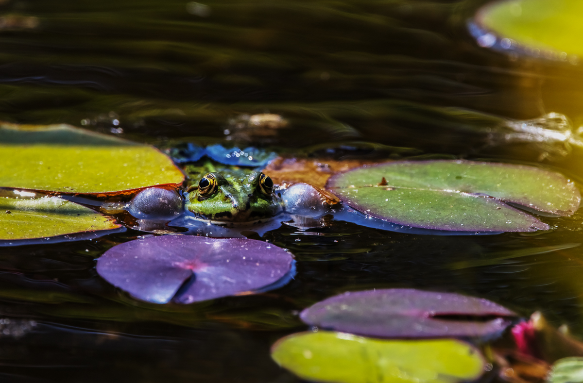 _MG_1105-Bearbeitet.jpg