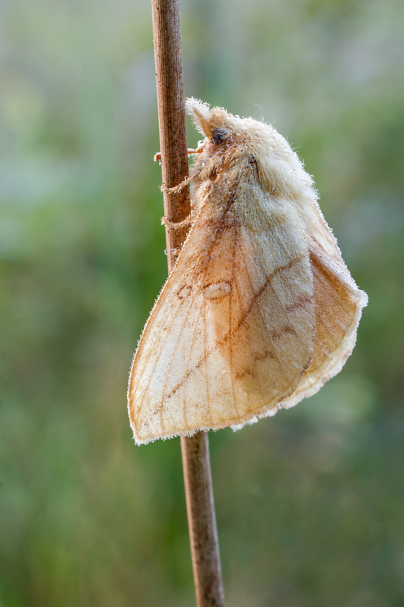 DN4A5680_DxO_DxOklein.jpg