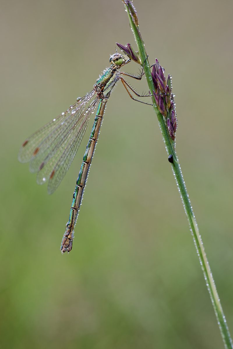 DN4A6088_DxO_DxOklein.jpg