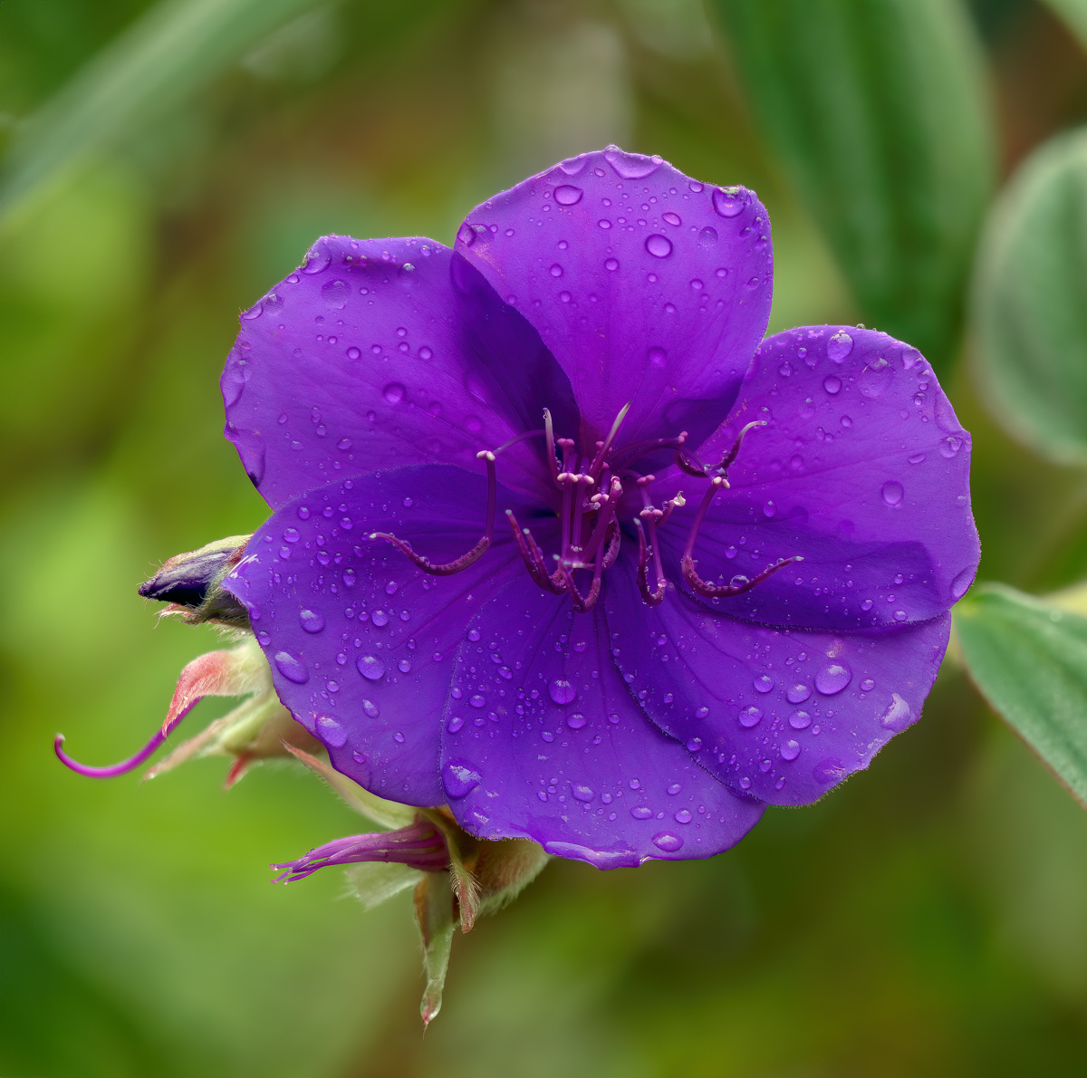 20250925-2025-09-25 16-15-35 (.jpg