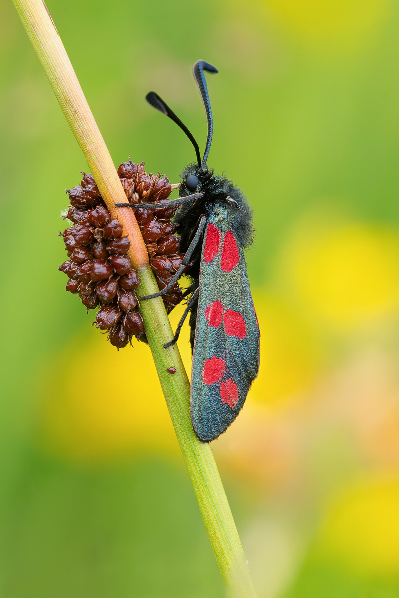 2025-11-06 21-30-40 (B,R5,S4).jpg