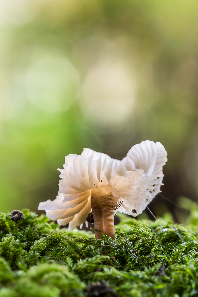 IMG_4436_- Kopie.jpg