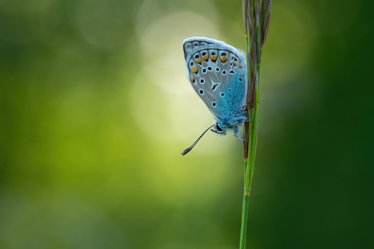 P1197764_1200 breit.jpg