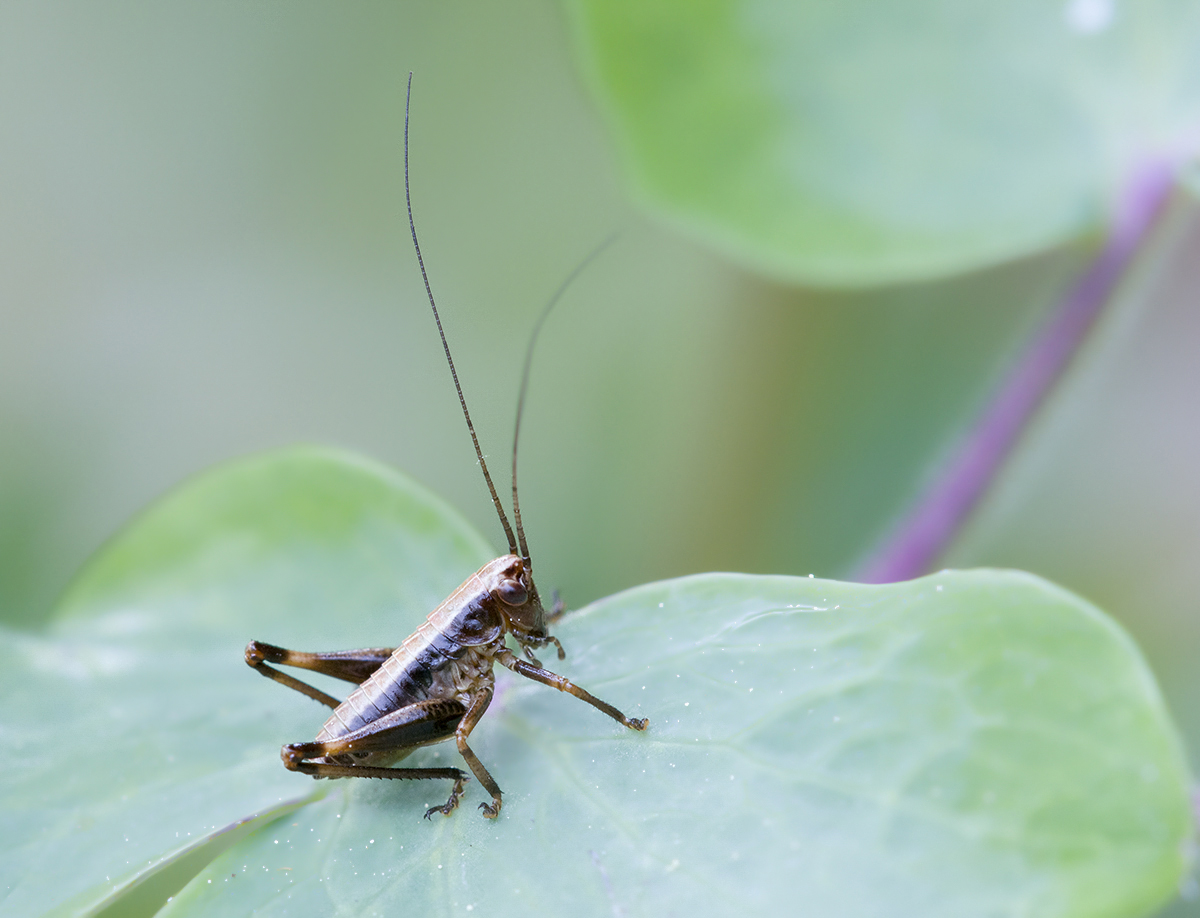 IMG_9042 neu klein 3.jpg