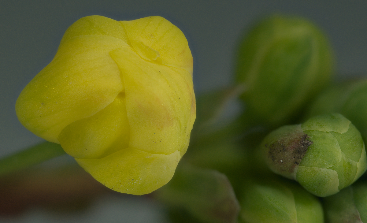 2025-12-14-17.02.26 ZS PMax_01_forum.jpg