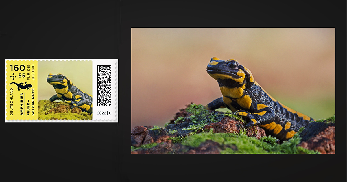 Briefmarke Feuersalamander.jpg