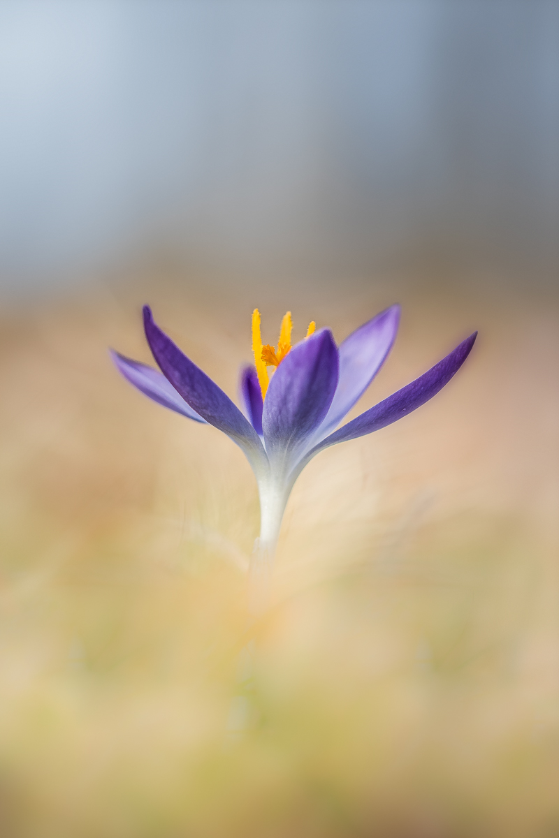 IMG_4326--2 - Kopie.jpg