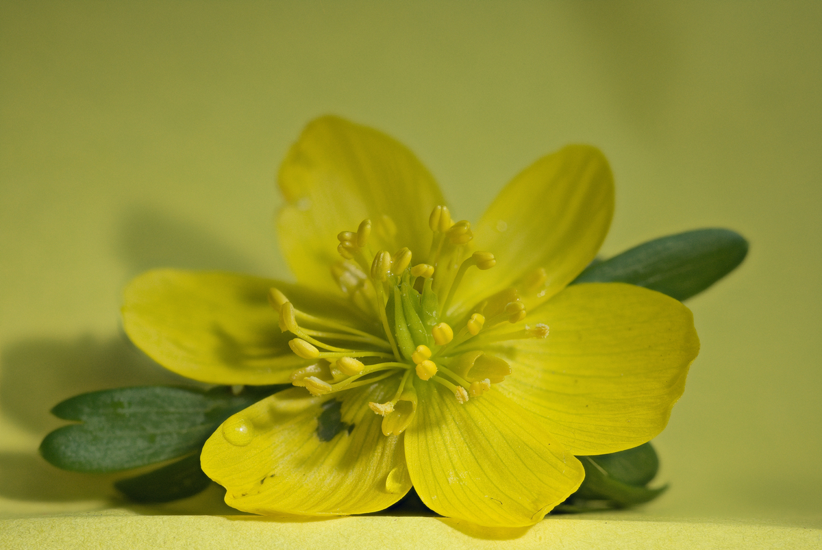 2026-02-24-14.06.27 ZS PMax_01.jpg