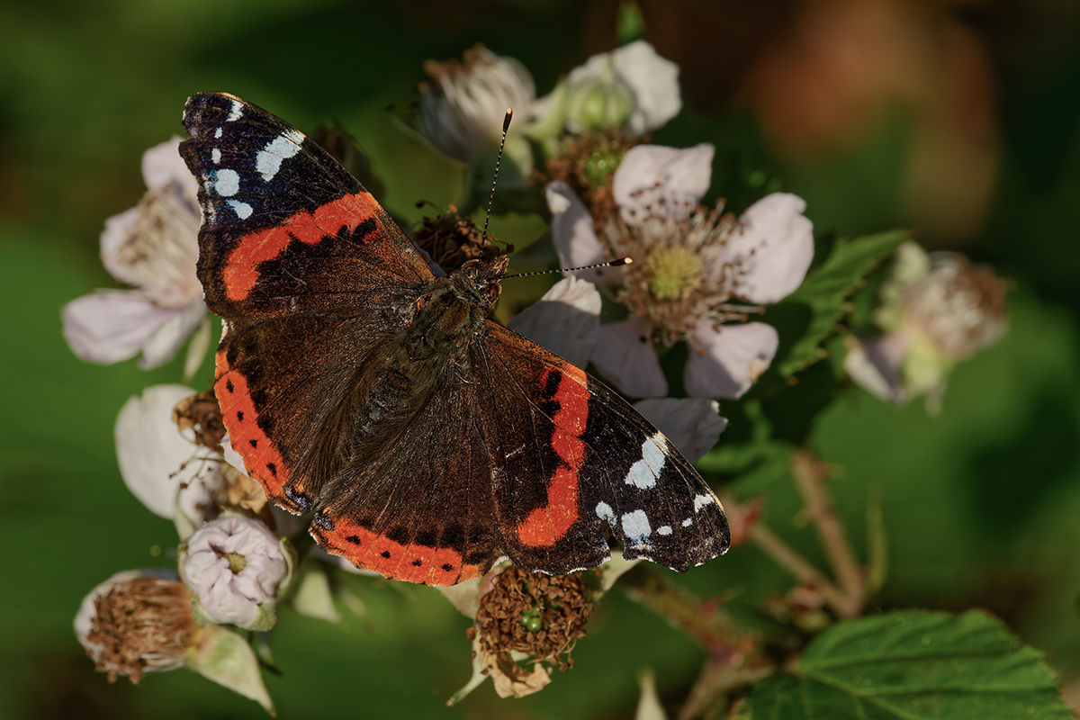 DN4A0456_DxO klein.jpg