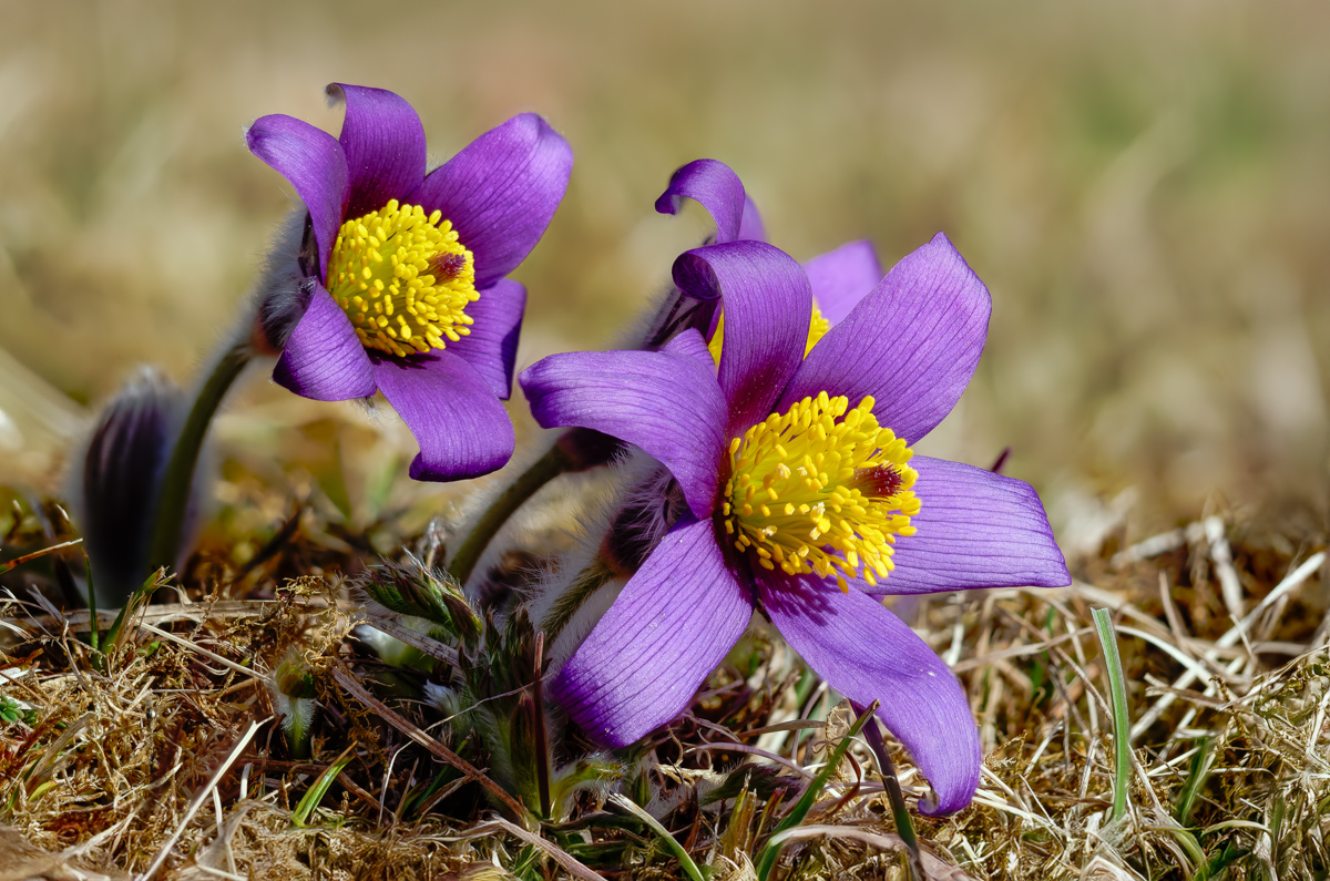 2026-03-03 17-41-21.JPG