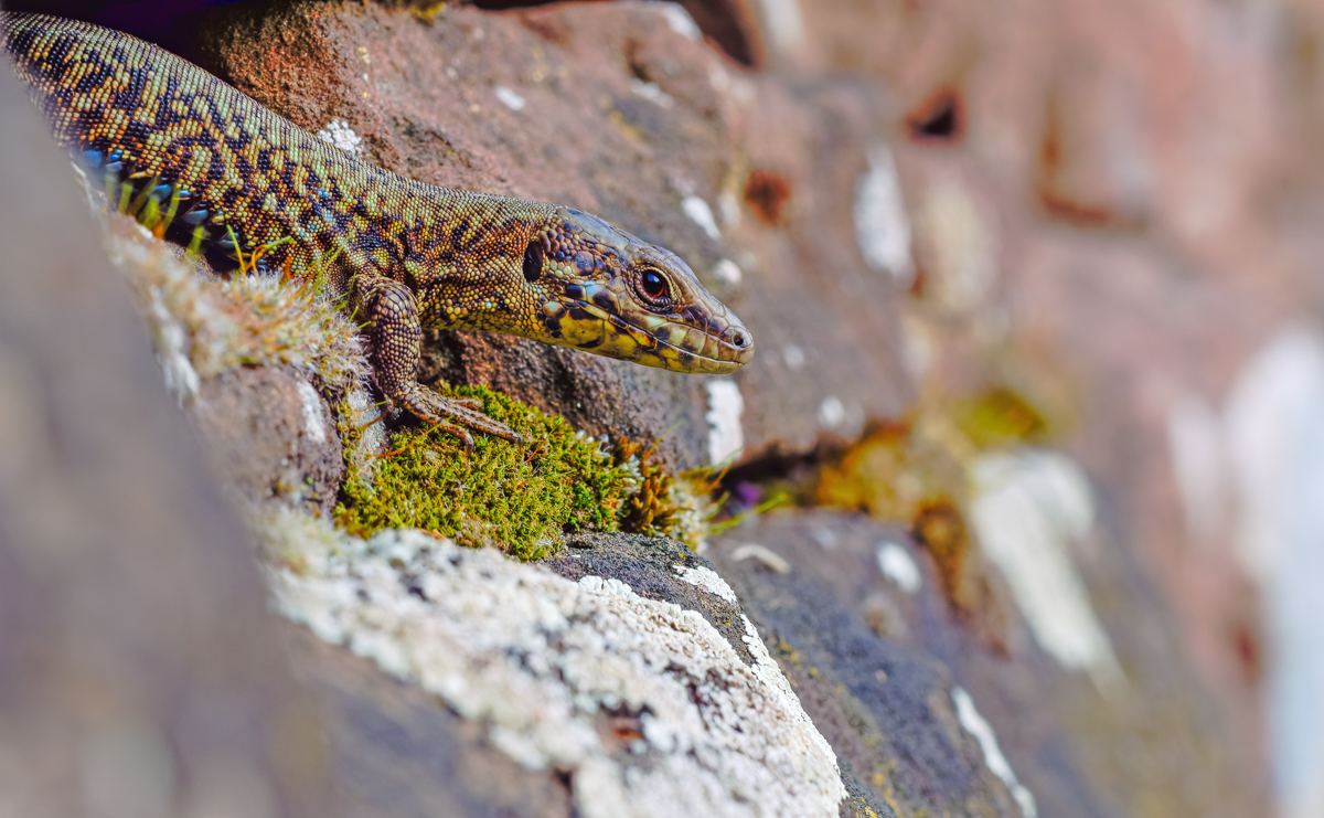 2026-03-09 16-55-18 (.JPG