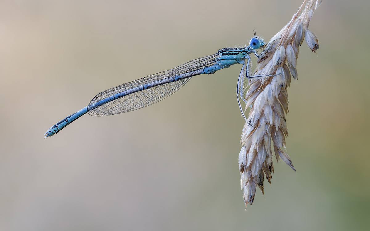 stack 23 bilder klein.jpg