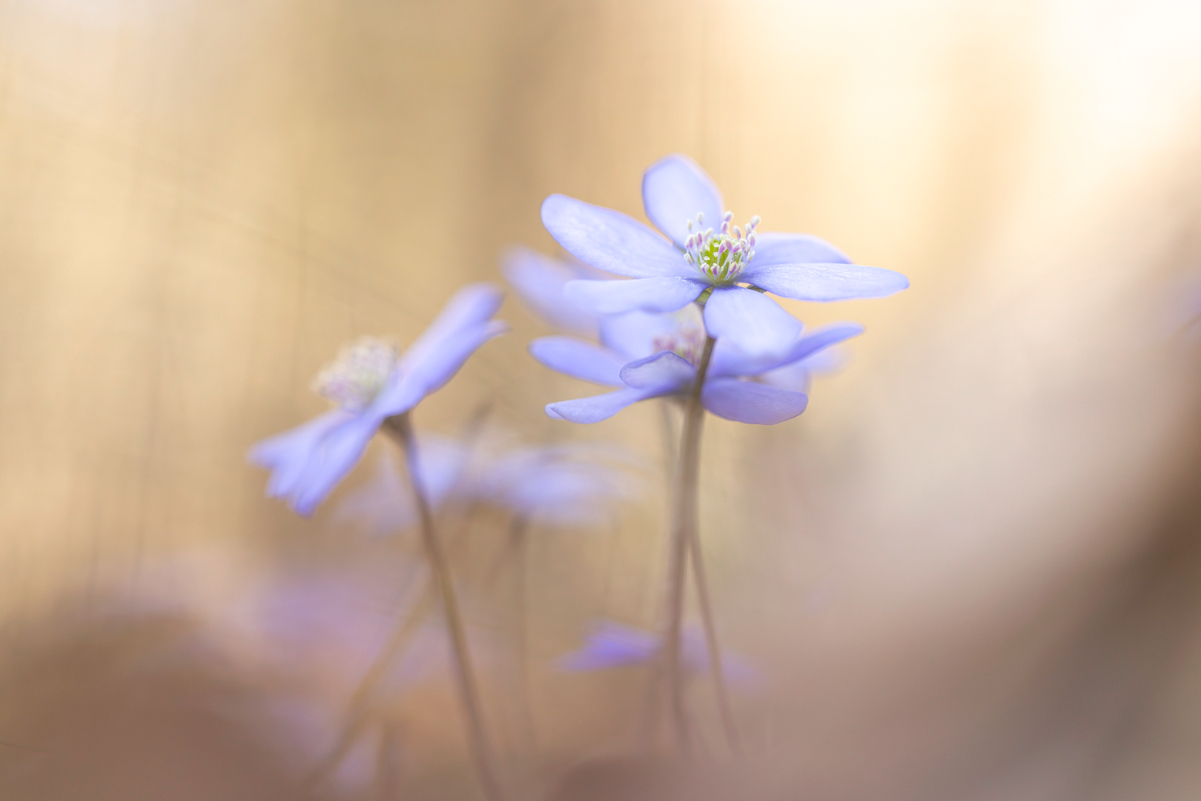 2F0A7839-Bearbeitet Kopie.jpg