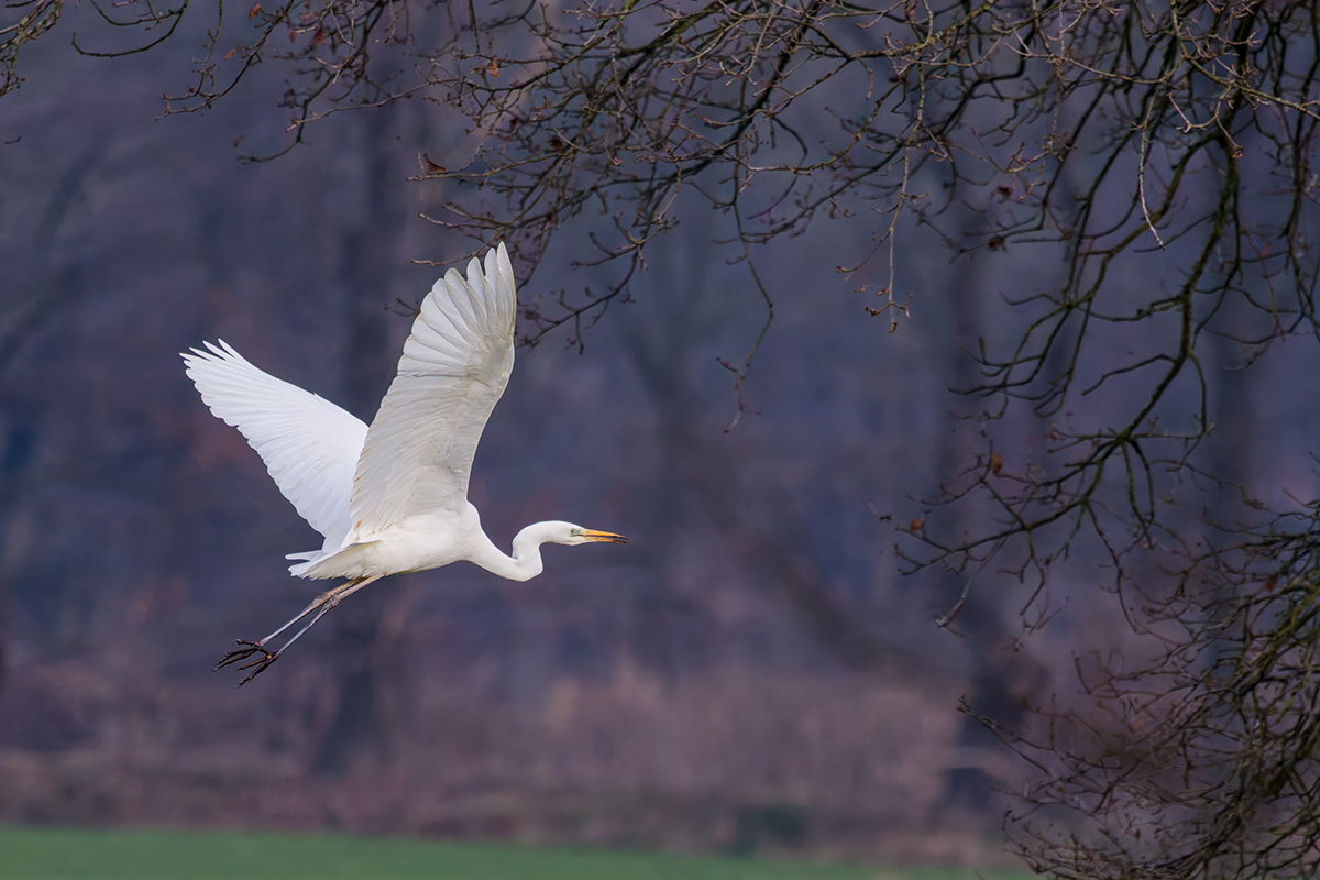 DN4A4238_DxO kleinjpg.jpg