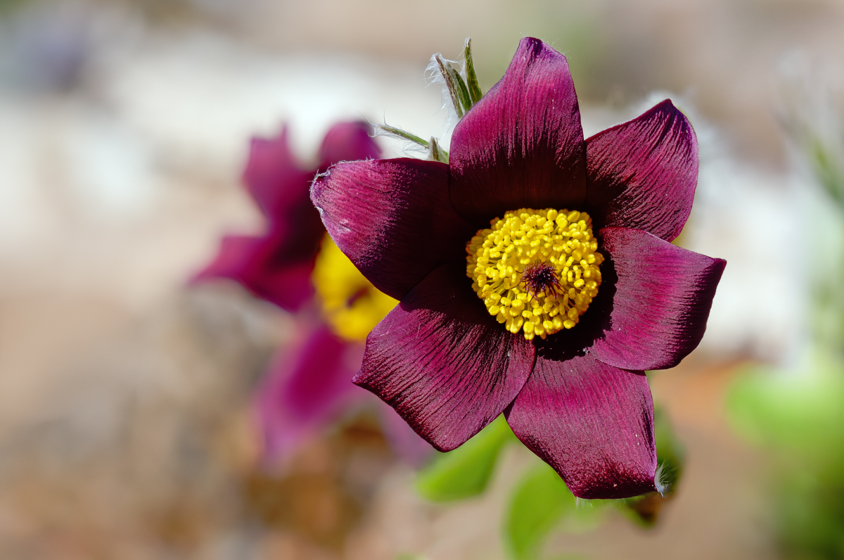 2026-03-19 16-15-44.JPG