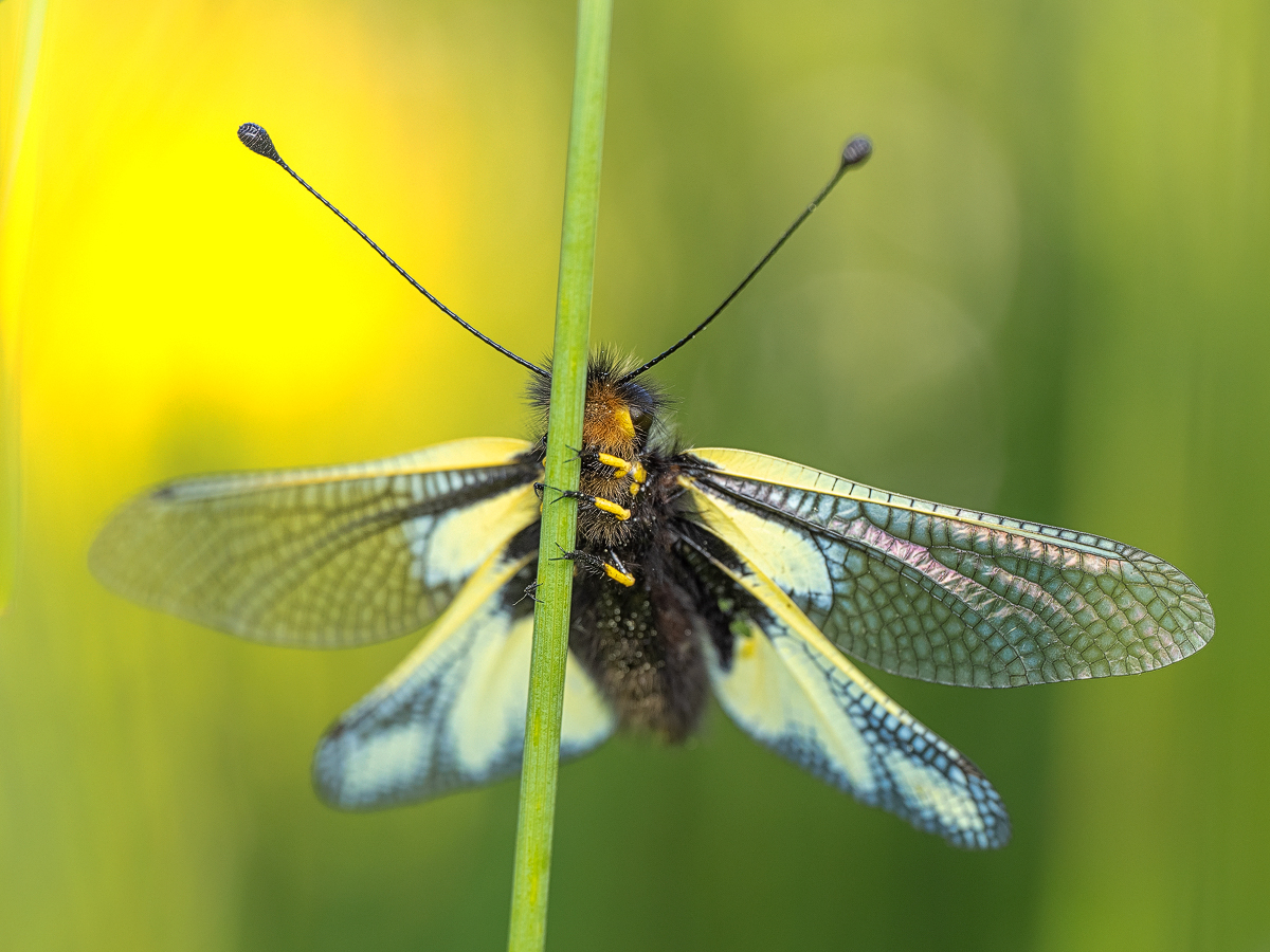 _5010661-Kopie.jpg