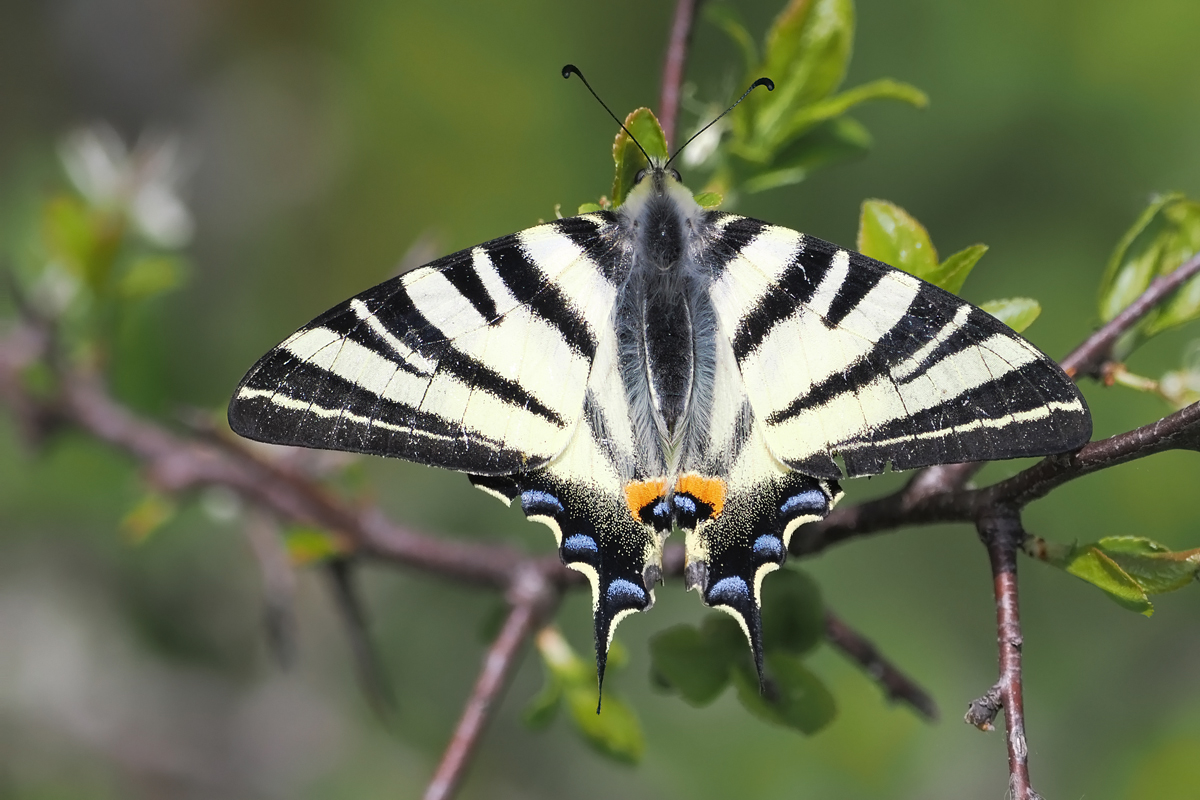 segel-stack-4277912-18.jpg